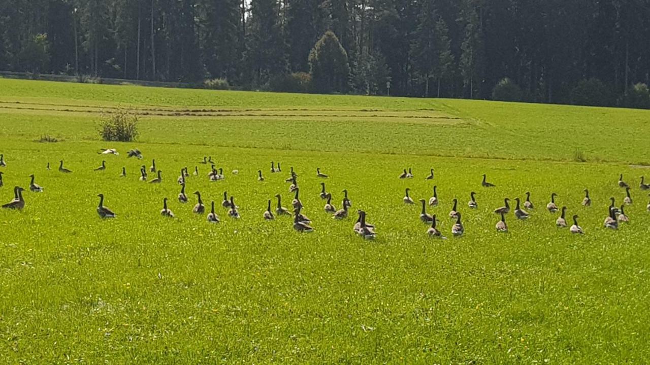 Ferienwohnung Am Kirnbergsee Unterbrand Kültér fotó
